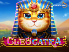 Bedava casino slot. Casino zar oyunu.95